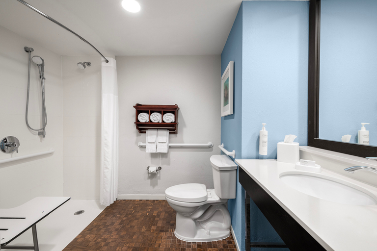 Bathroom 5, Hampton Inn & Suites San Juan