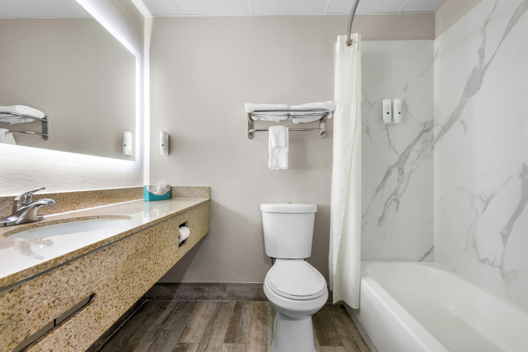 Bathroom 4, Quality Inn Alexander City, Tallapoosa