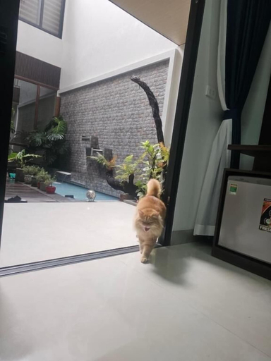 Interior 4, Dang's Home, Lào Cai