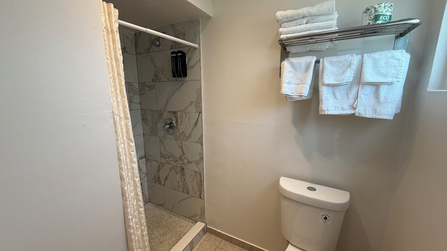 Bathroom 4, Pine Tree Inn, Jackson
