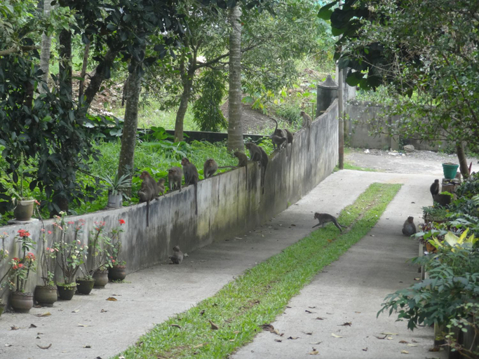 Others 5, Neema Homes, Theni