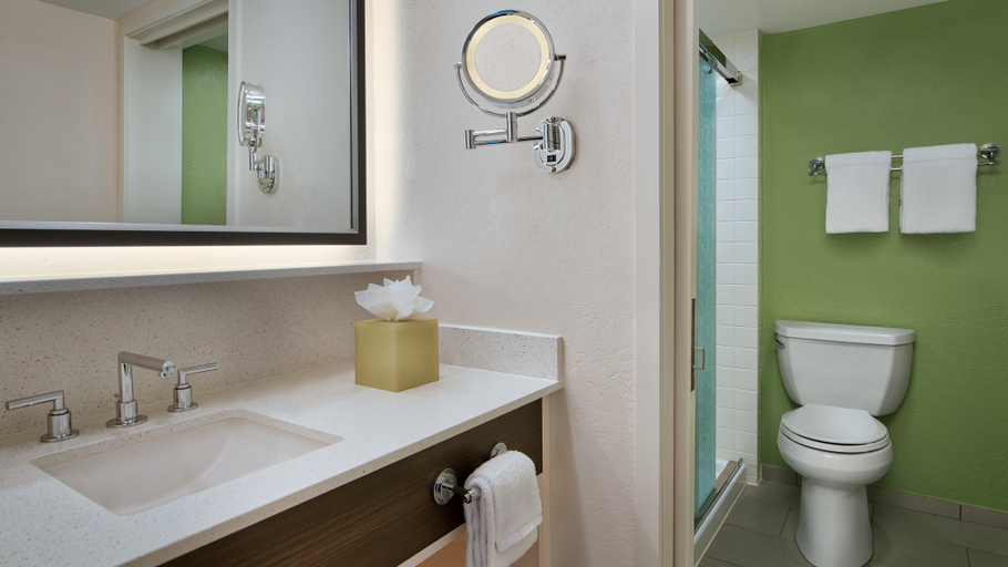 Bathroom 3, Disney's All-Star Music Resort, Osceola