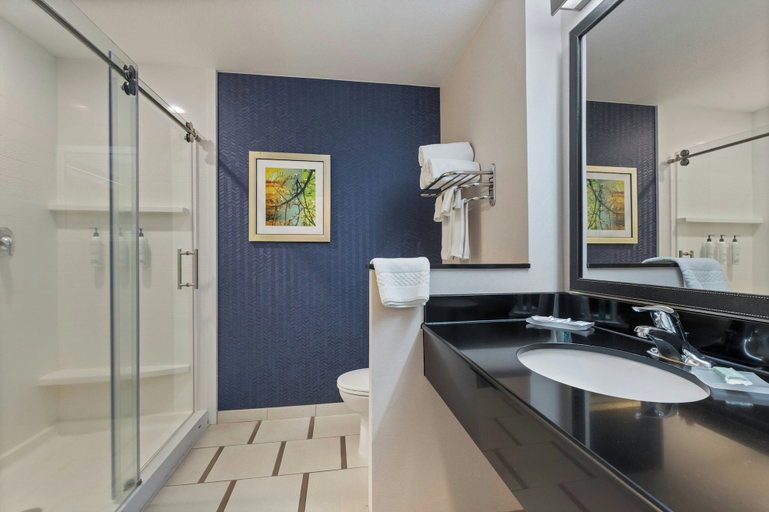Bathroom 5, Fairfield Inn & Suites Alamosa, Alamosa
