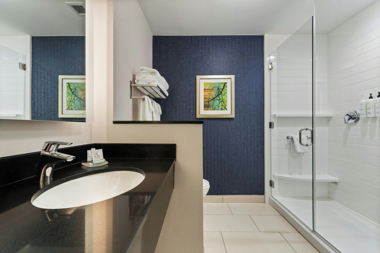Bathroom 4, Fairfield Inn & Suites Durango, La Plata