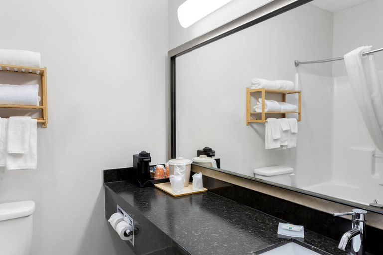 Bathroom 5, Quality Inn & Suites Niles, Berrien