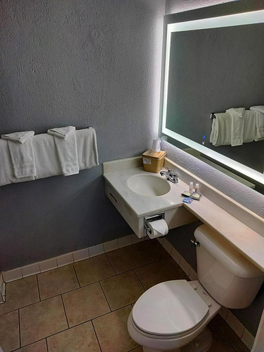 Bathroom 4, The Metropolitan Inn, Salt Lake