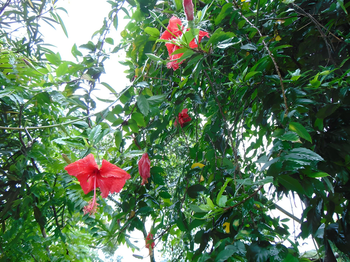 Others 3, Neema Homes, Theni