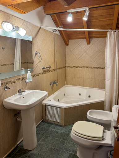 Bathroom 4, Apart Hotel del Pellin, Lacar