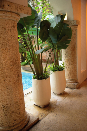 Public Area 4, Hotel Boutique Patio Corao, Cartagena de Indias
