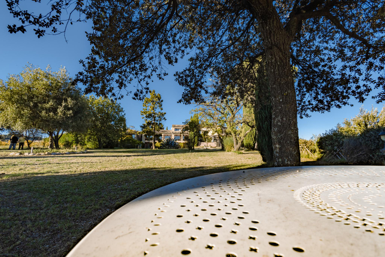 Others 5, Hotel Bellerive, Vaucluse