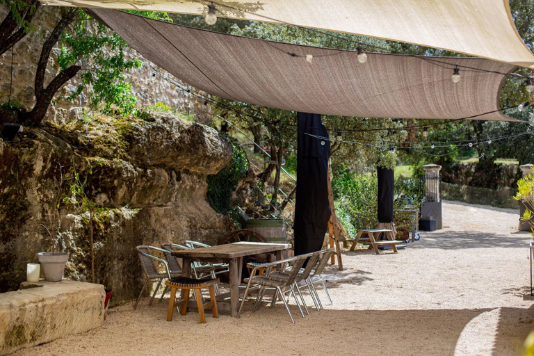 Outdoor dining 4, Château les Gardis, Vaucluse