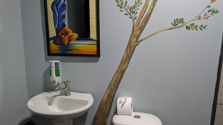 Bathroom 5, Red Frog Rooms, San Carlos