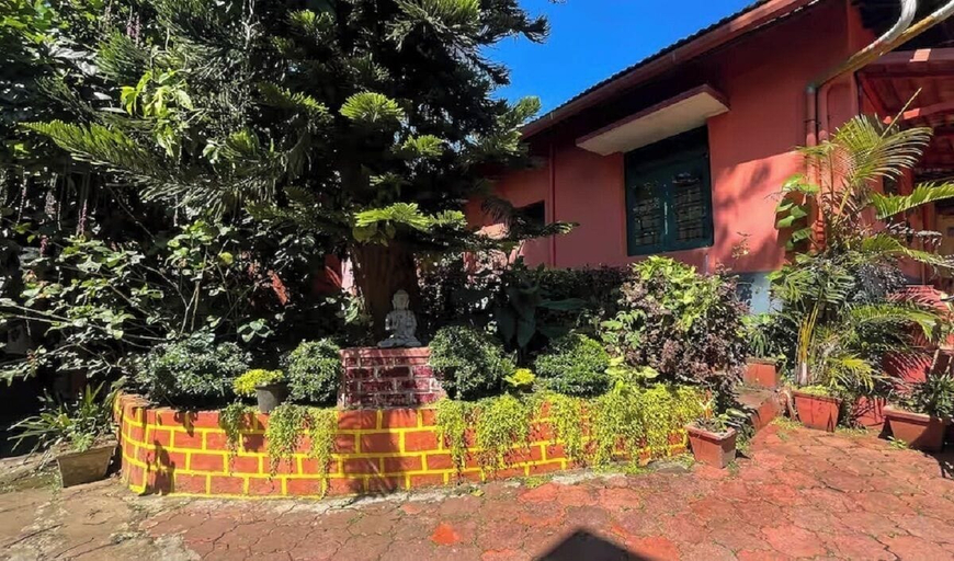 Property grounds, Sangeetha Homestay, Kodagu