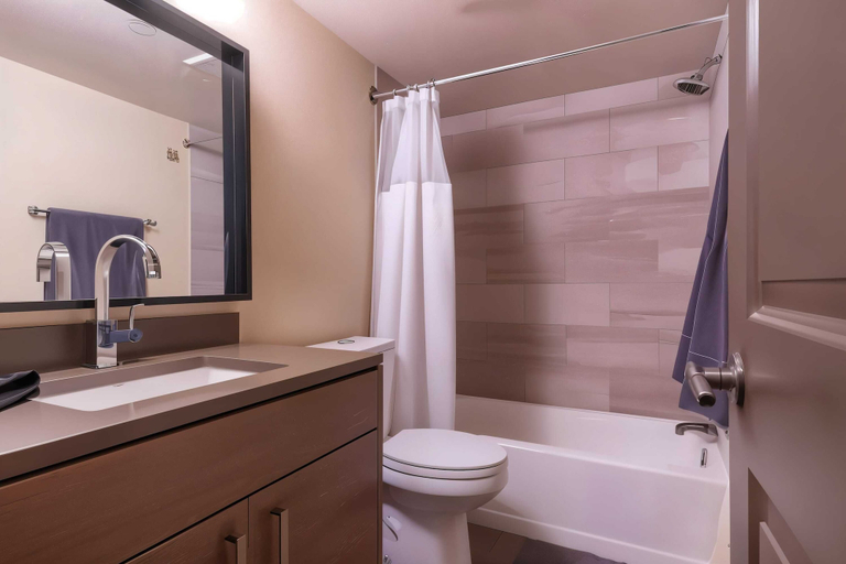 Bathroom 3, Boulevard Stays - Ladybird Lake, Travis