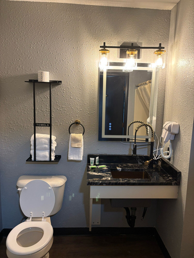 Bathroom 4, Plymouth Suites Hotel, Sheboygan