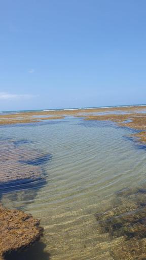 Others 4, Quintal da Espera - Praia de Itacimirim, Camaçari