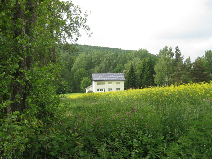 Primary image