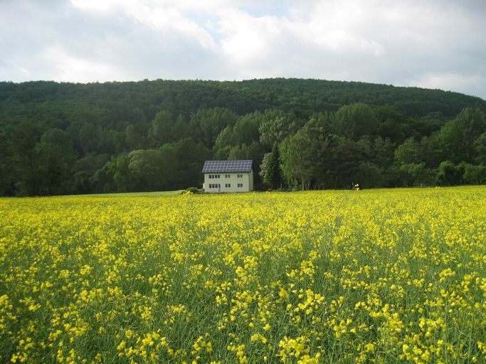 Exterior 3, Ferienwohnung im Dachgeschoss, Homberg, Schwalm-Eder-Kreis