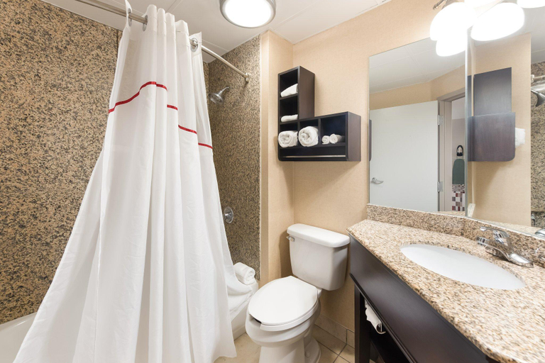 Bathroom 4, Red Roof Inn & Suites Columbus - West Broad, Franklin