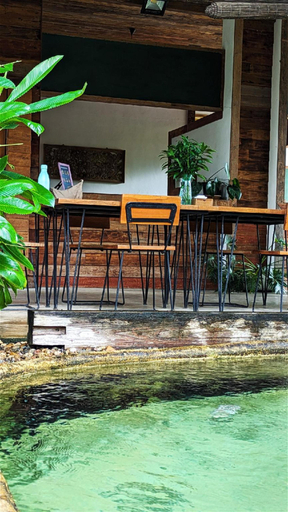 Sport & Beauty, Kirina Retro House, Pai