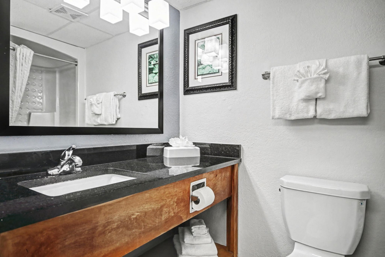 Bathroom 4, Ocean Park Resort, Horry
