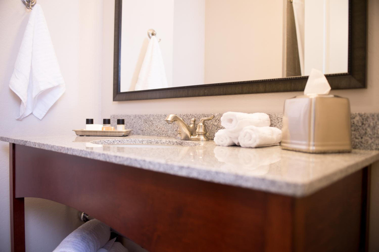 Bathroom 4, Bluemont Hotel, Riley