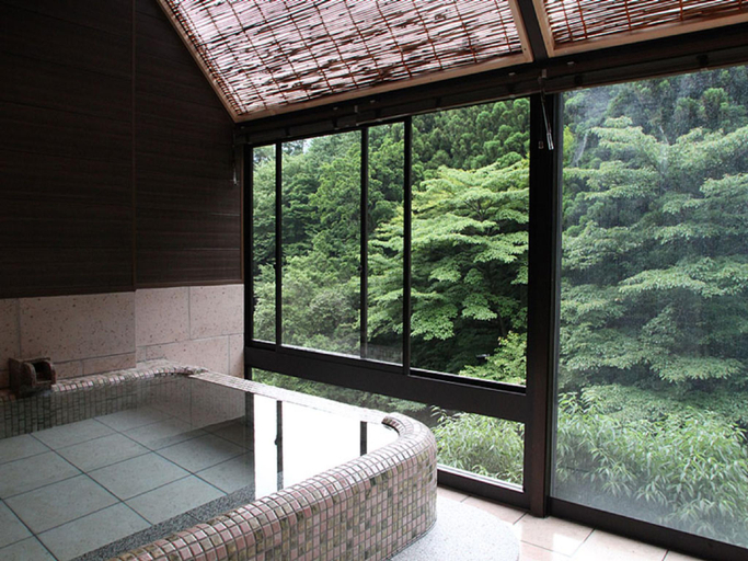 Bathroom 5, Hakone Nanase, Hakone