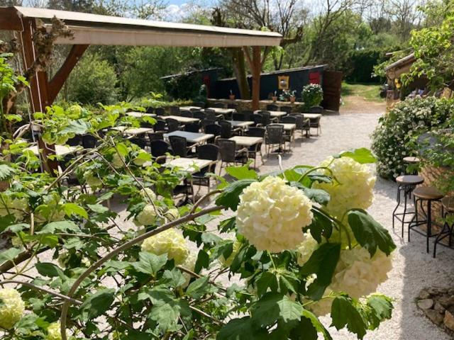 Food & Drinks 5, Camping Glamping Le Pech Charmant, Dordogne
