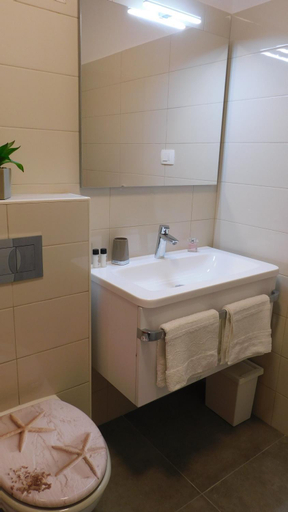 Bathroom 2, Novo renovirani apartman blizu centra i mora, Labin