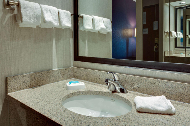 Bathroom, Drury Inn & Suites Hayti Caruthersville, Pemiscot