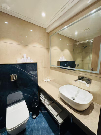 Bathroom 3, Melior Inn, Thane