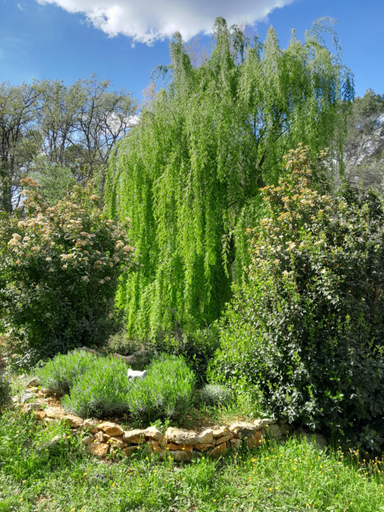 Others 4, Domaine d'Avalon, Var