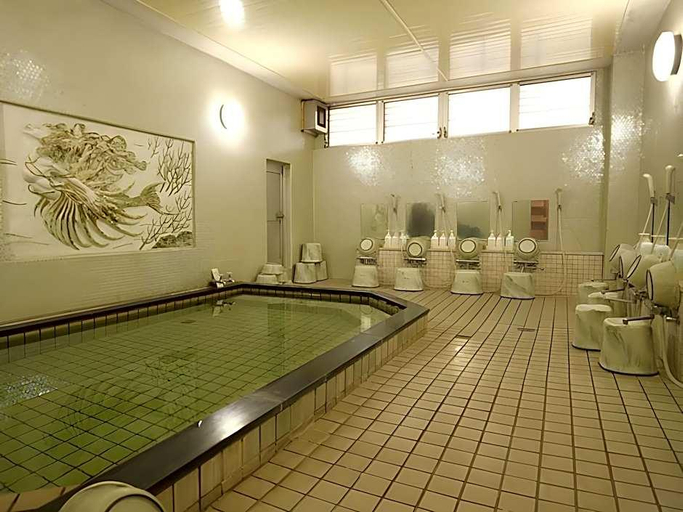 Others 5, Hotel Harumoto, Nikkō