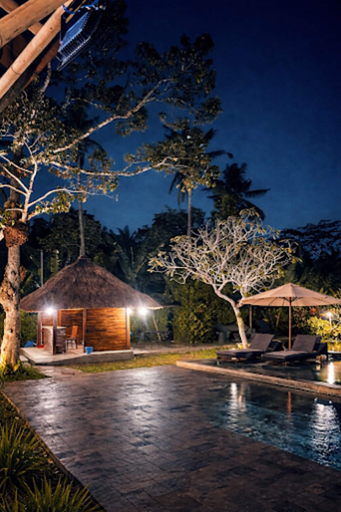Pool 2, Anima Villa Ubud, Gianyar
