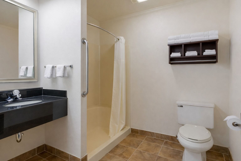 Bathroom 4, Best Western Davison Inn, Genesee