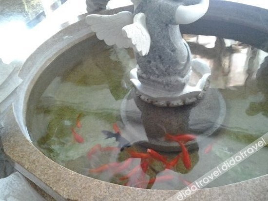 Others 3, Jin Gang Hotel, Hanzhong