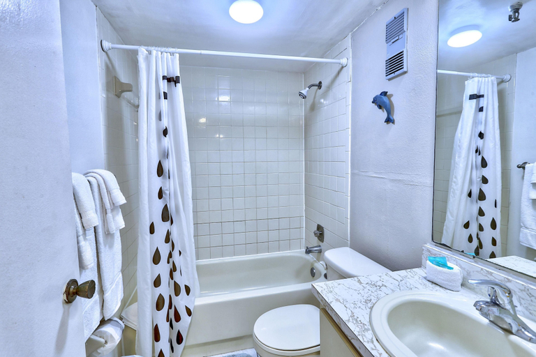 Bathroom 4, La Coquina 102, Pinellas