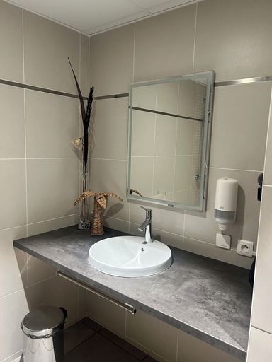Bathroom 3, Hôtel Le Grand Barnum, Rhône