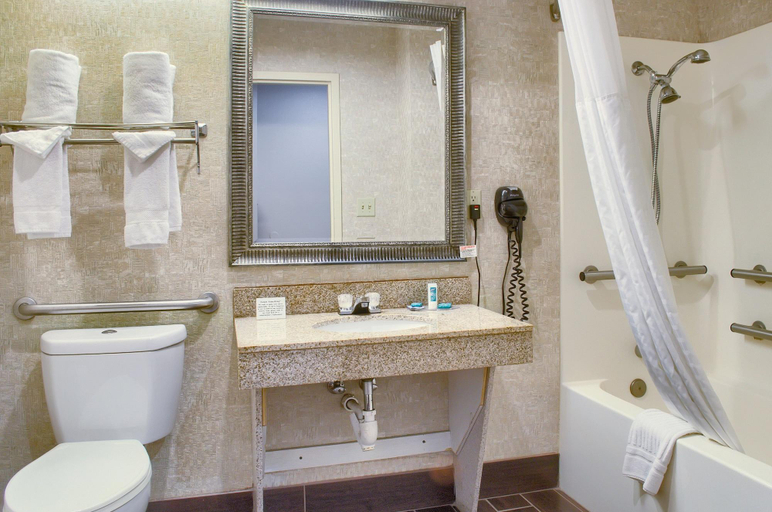 Bathroom 4, Hometown Inn Thomasville, Clarke