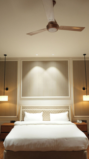 Room 4, Royal palm hotel and resort, Patiala