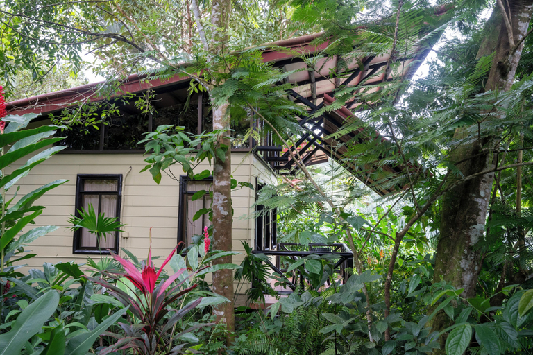 Exterior & Views 2, Maquenque Lodge, San Carlos