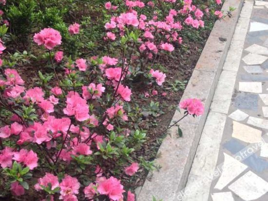 公共区域 3, Lindu Hotel, Leshan