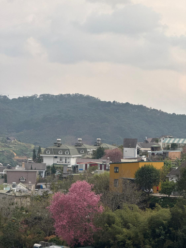 Others 4, Homestay Út Thảo, Đà Lạt