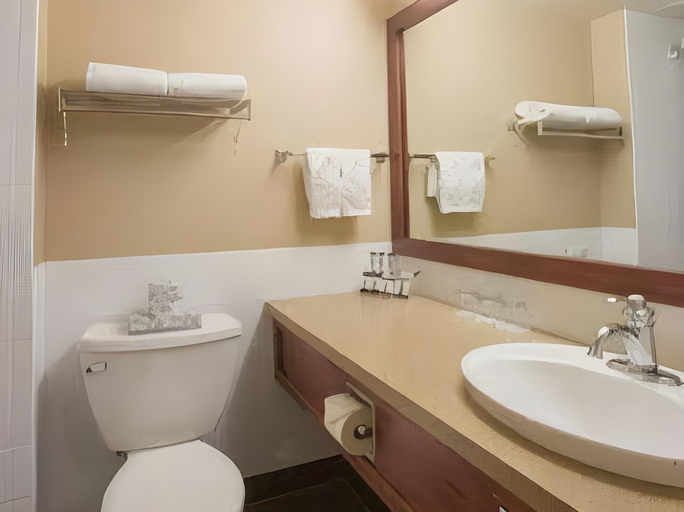 Bathroom 4, The Explorer Hotel, Fort Smith