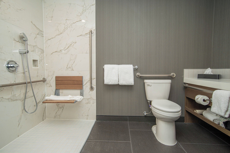 Bathroom 4, Sandman Signature Ottawa Airport Hotel, Ottawa