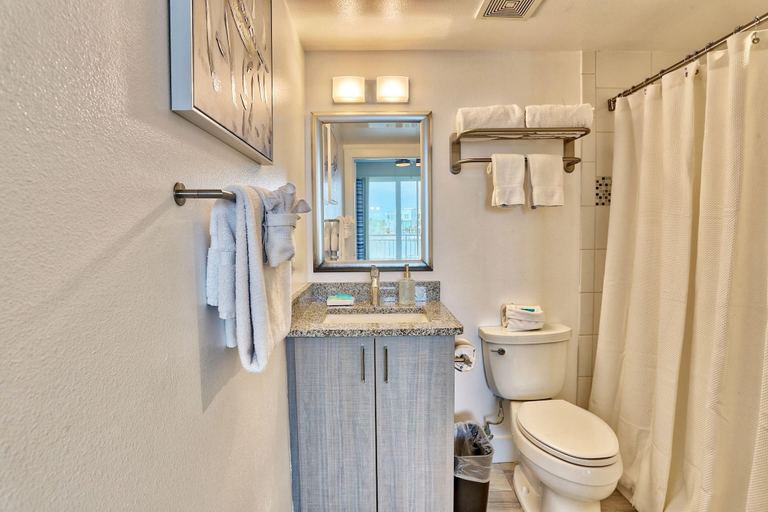 Bathroom 4, Oceana 204 East, Pinellas