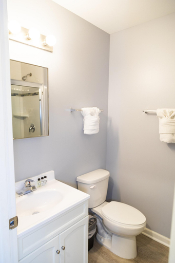 Bathroom 4, Hotel Chicago West Loop Surestay Collection By Bw, Cook
