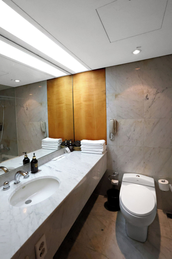Bathroom 3, Grand Hotel, Buk