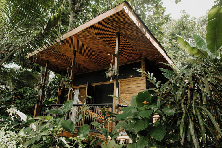 Exterior & Views 2, Palmar Beach Lodge, Bocas del Toro