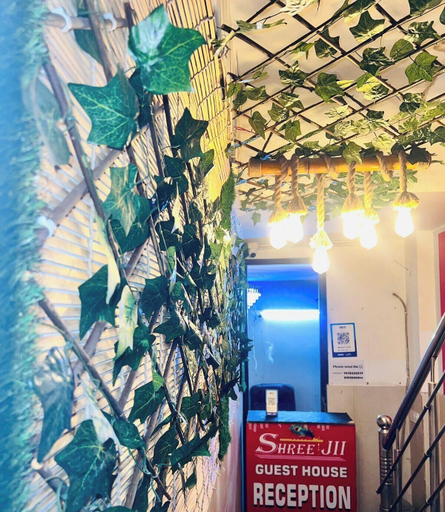 Interior 3, Shree Ji Hotel Stay Room, Delhi